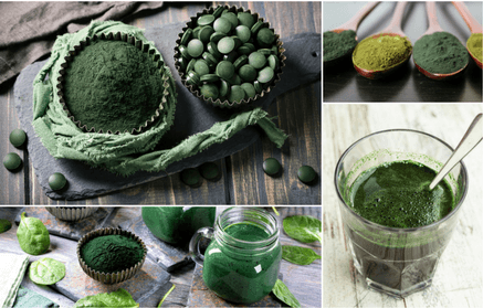 Chlorella – édesvízi alga és hatásai az egészségre
